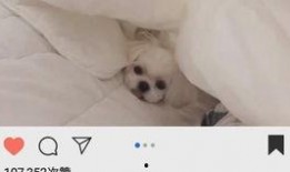 司马家族爆料视频播放在线观看,独家内容在线观看，揭秘家族秘闻